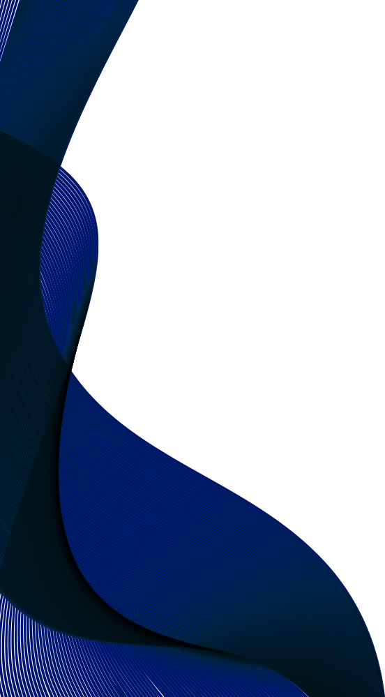 Figura decorativa Slider Principal