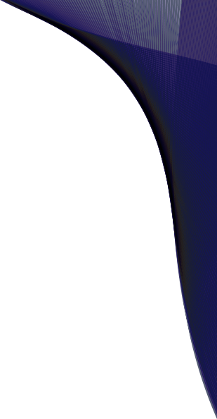 Figura decorativa Slider Principal